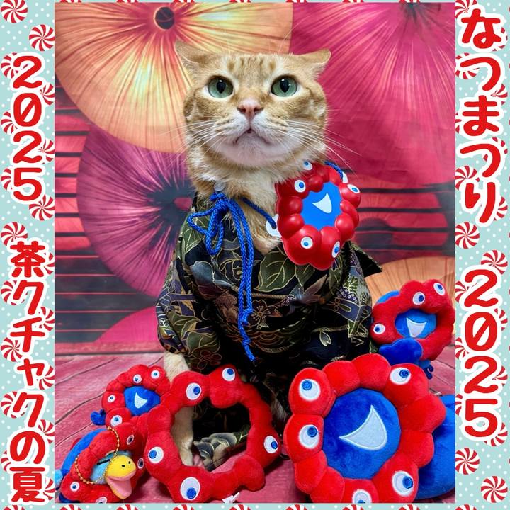 736b9ff7 a24b 41eb b393 c84187c618c3 1756506119953