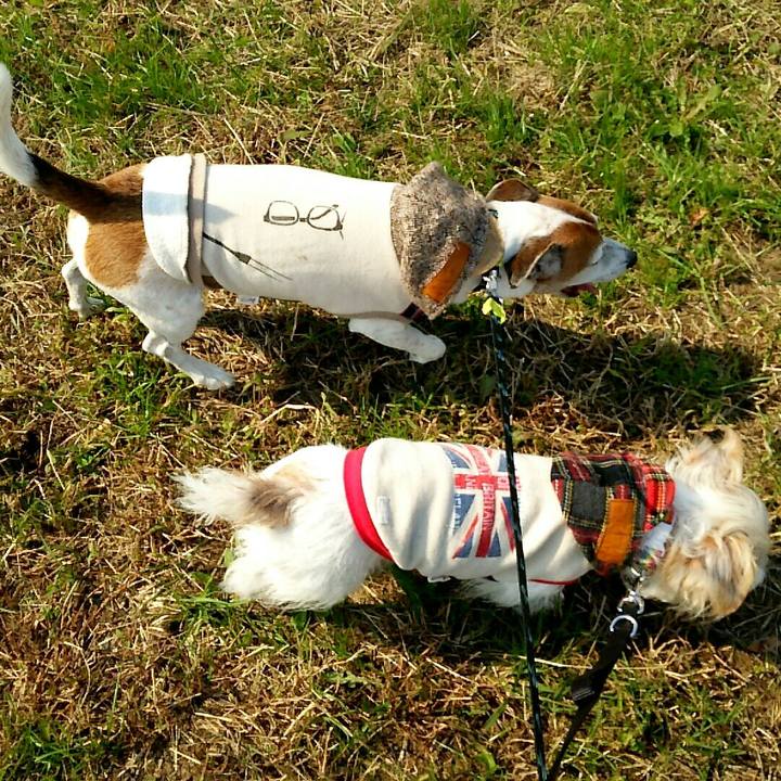 736bc343 ea49 409b bd29 2672adf830b4 1509857512155