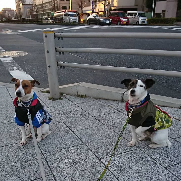 736be949 3f90 4518 a5b9 b4a9a09a1a14 1548713823309