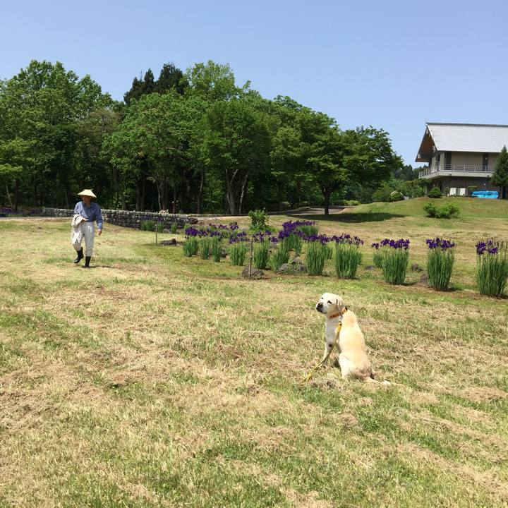 736c107e dc32 4128 84d1 43fe9d7f717d 1526353315221