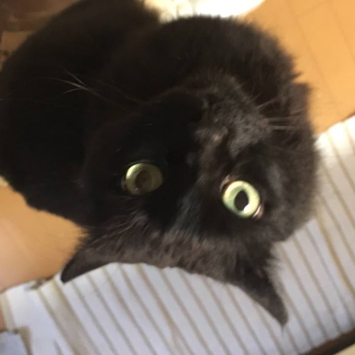 736c3e84 4a33 4b92 8f54 ac60e8e49024 1530024056237