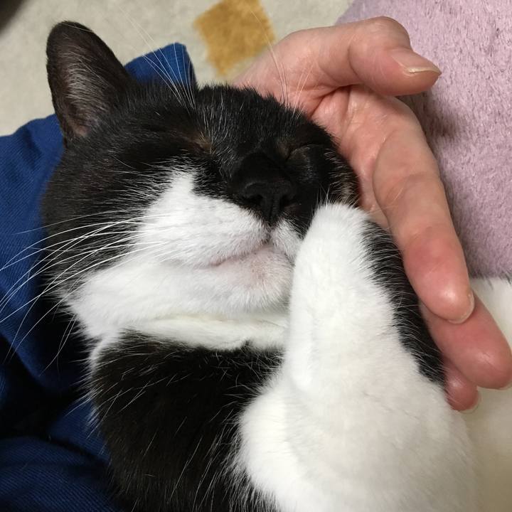 736c4a9d 7d14 4bf9 97a6 59d592efdeaa 1513921515359