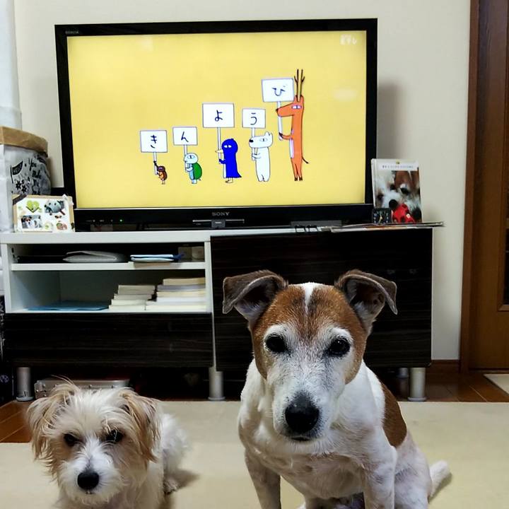 736c7689 f57c 43b6 8592 0ccf2a4460ee 1548367811818