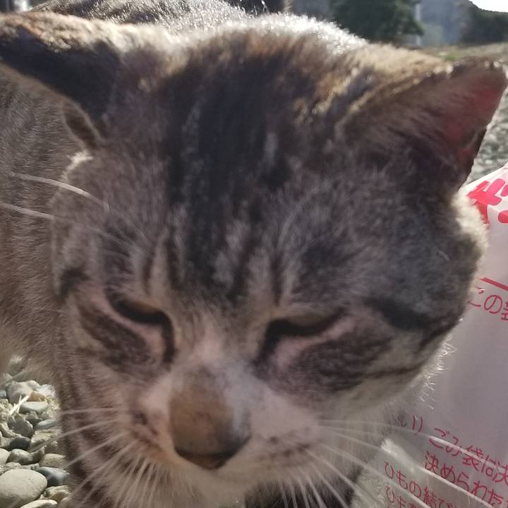 736c76a7 521b 4a9b 9b3b b9f6e9dcb83f 1619483858137