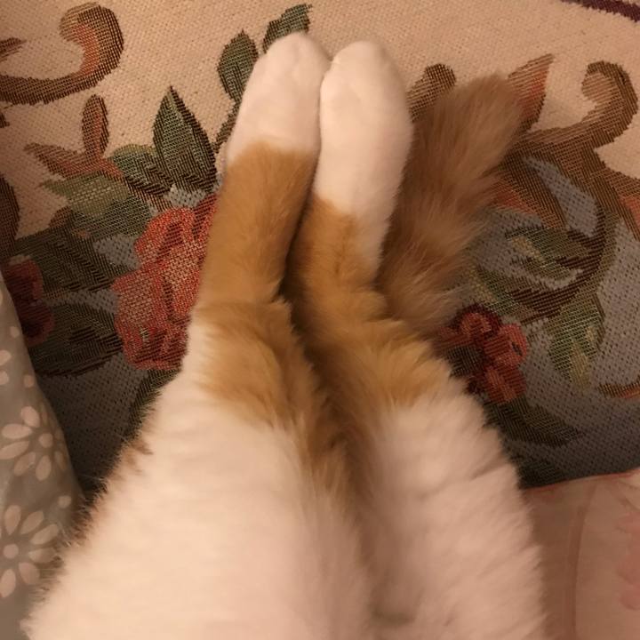 736c8b29 a08c 4bb4 8bd9 7407086fb629 1565963699070