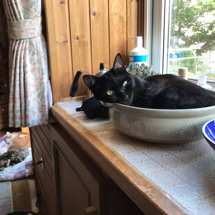 736cb530 38a9 4d61 9f8f 66d3e22e2f5e 1600752695080