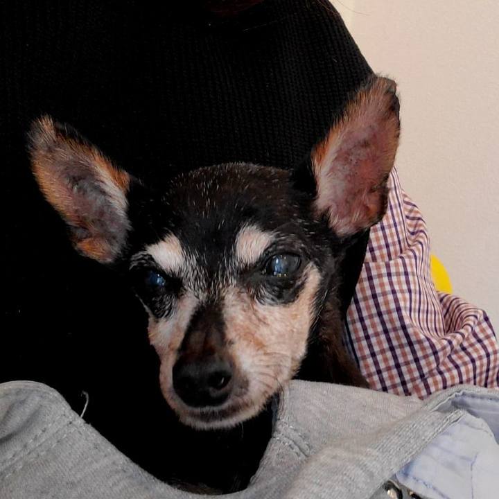 736d4193 93bf 4b69 8b08 9173e85d239b 1699679504764