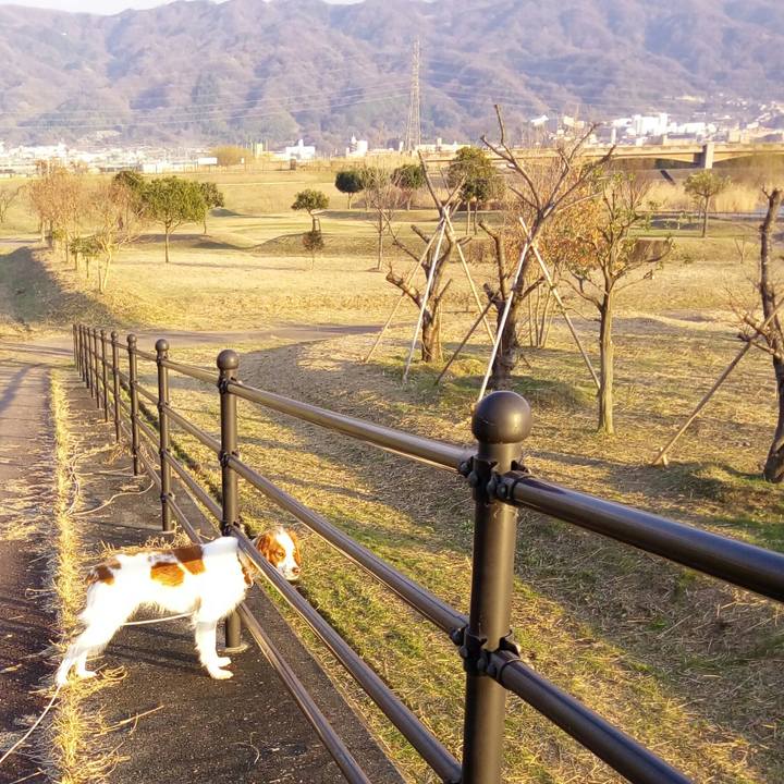 736d6c52 055e 43a5 8156 c116f91bd7e5 1516104316376