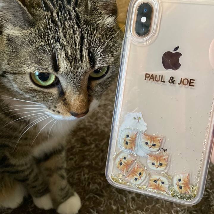 736d790f c5b2 4894 9e1e 1c3d83fa198d 1574138411982