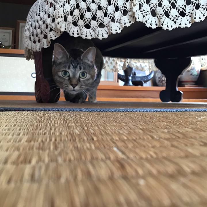 736d8678 b922 4e40 808b 2b7870ae186c 1616400623631