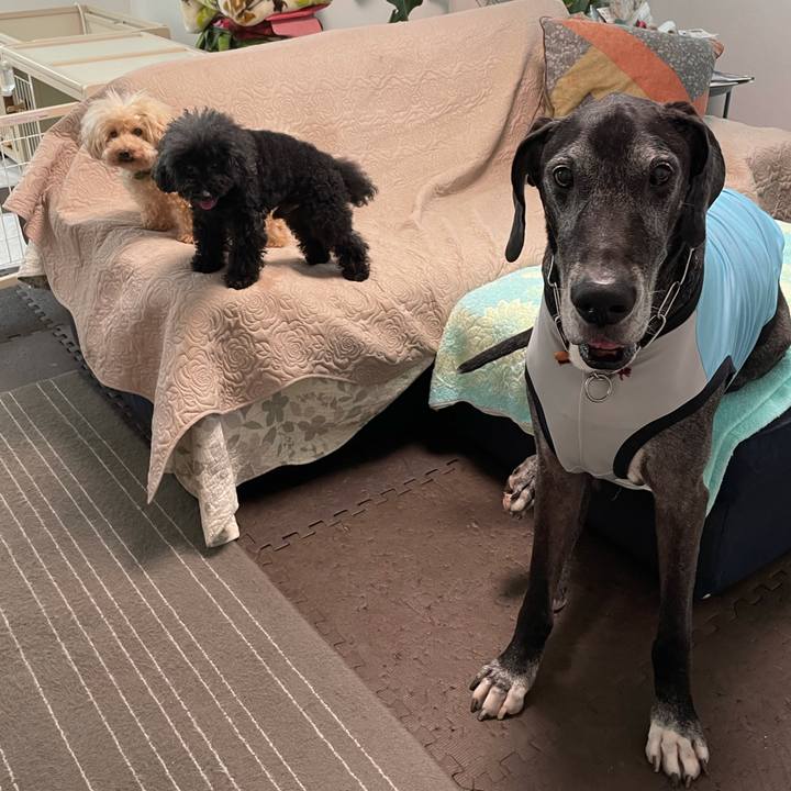 736dd008 2d9c 4d98 bdb6 f5ded51f9f1c 1628029612653