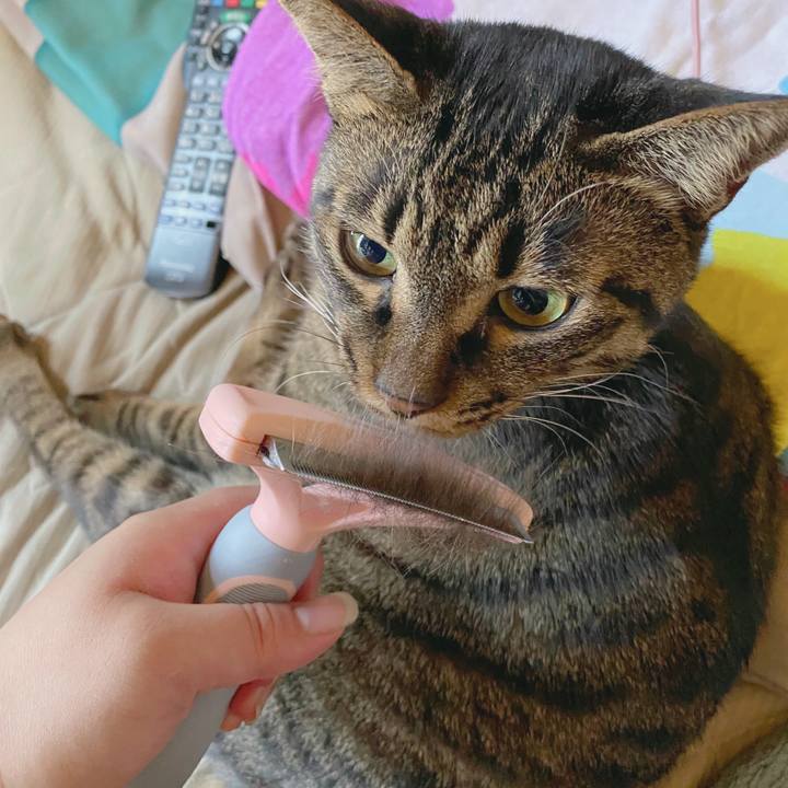 736e2c8e 9103 41ec a95a ee0d97fbc06c 1591755214705