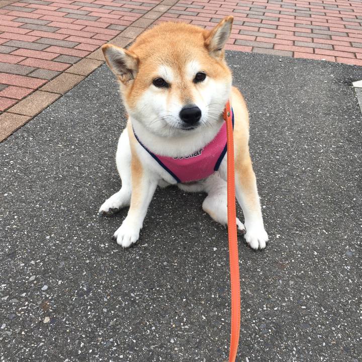 736e4a95 3330 4aac a411 55b576b131fc 1571194211574