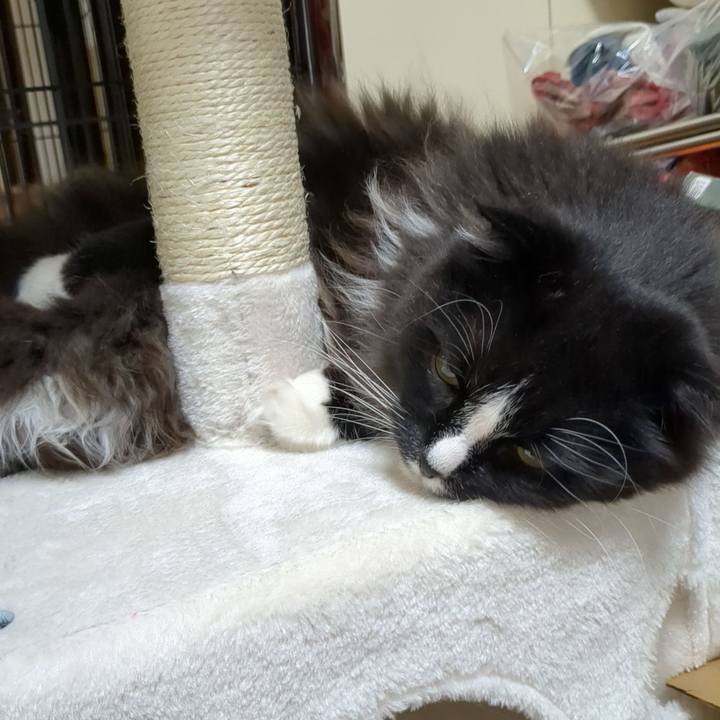 736e76aa 6f3c 4966 9d49 0705f5af3ddd 1683325507749