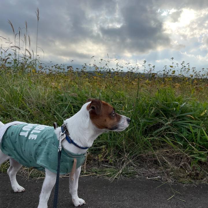 736e8958 a048 4334 b0f9 af7283ea47f5 1633170178631