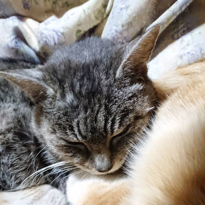 736e9886 4566 4a85 b1c6 925236234f73 1579871808383