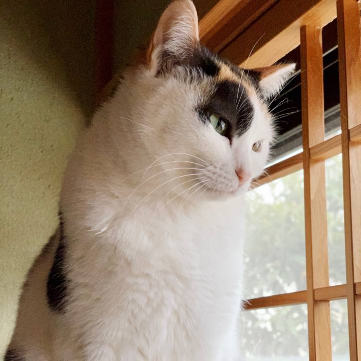 736e9af9 b4f5 4c35 943f faf00f7a4e91 1551318709495