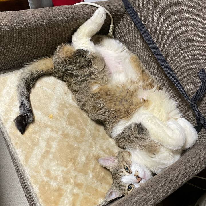 736eb921 1914 44a4 89de afb72769a7fc 1771159871002