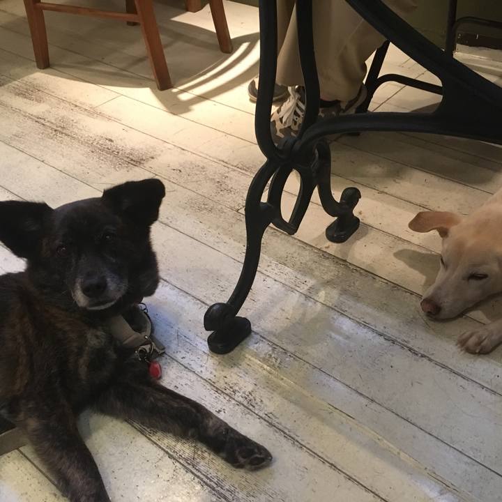 736ef771 80df 4c92 b0d9 5cc1798ee3e8 1561304381519