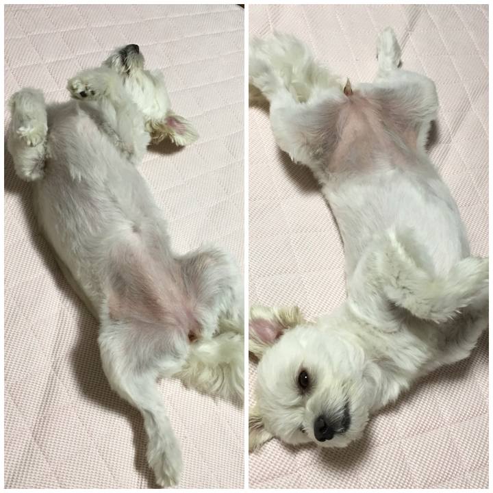 736ef92a eb31 49d9 abcd 597b66ca51a6 1535801978850