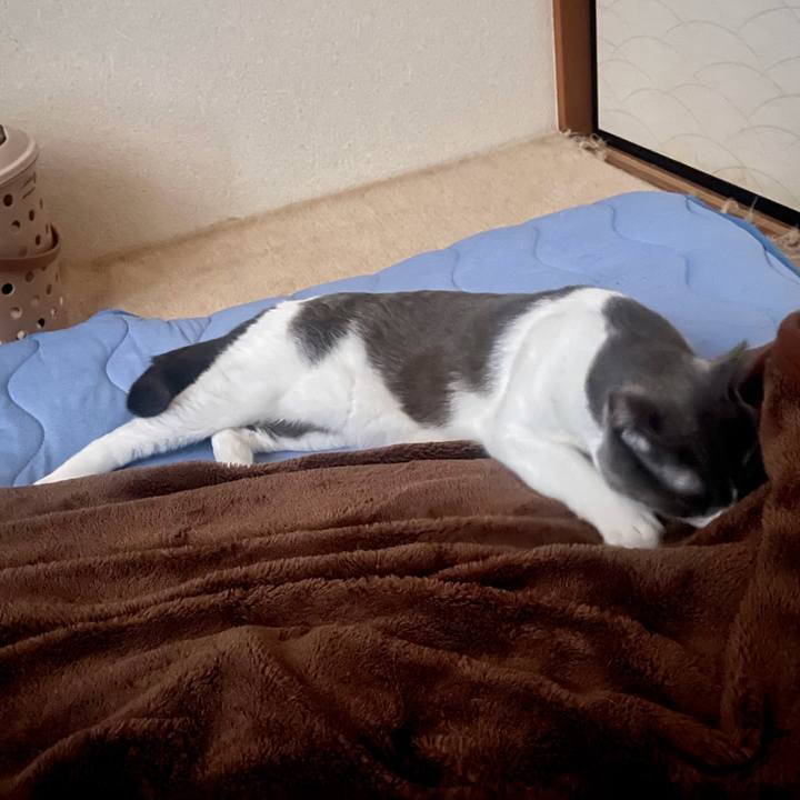 736f0adc d6f2 4095 938d cfc4541ceb8d 1632096934838