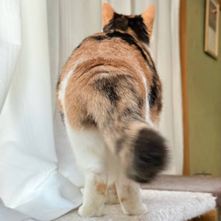 736f154b ccc7 4afe 998a 9126ee98b646 1736121912473