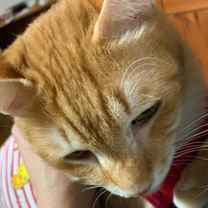 736f2e2d 3efb 44e6 a931 20a7540d32c4 1580484599746