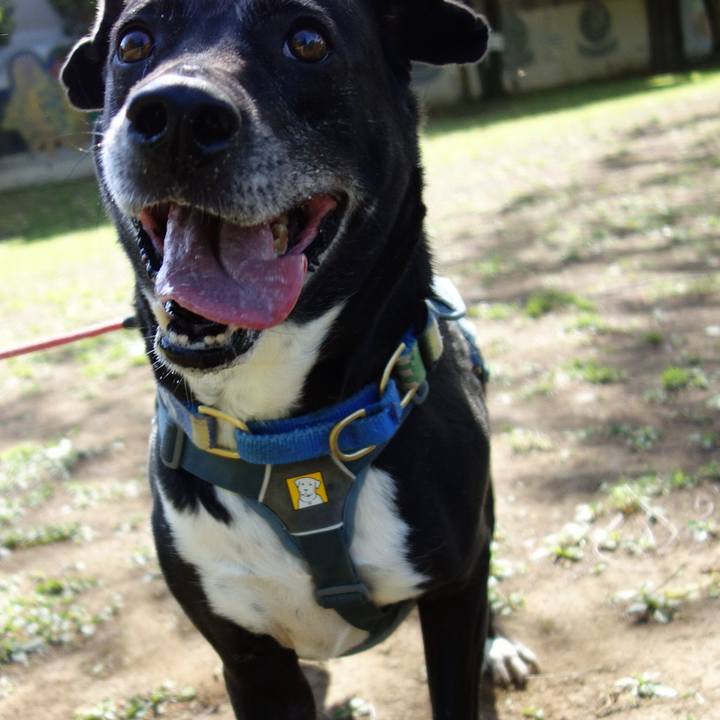 736f2fa9 973c 4b81 a3bd 8df3a63fbb2f 1713314196058