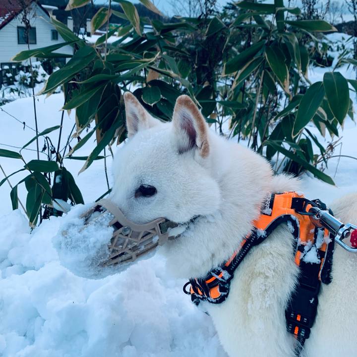 736f7094 ec9a 400a 8e97 dd65cf0294fd 1670884765199