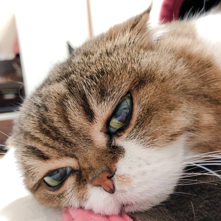 736fa350 55b3 4fa5 85e9 86bfa69bf454 1587214761832