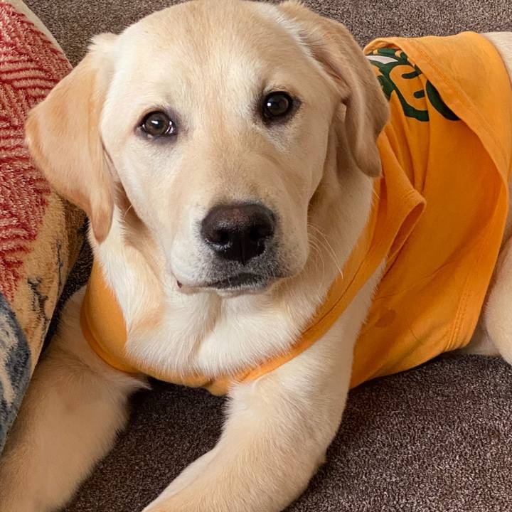 737025d0 127e 48ec 9e9b 0b02c422dcfc 1617410363239