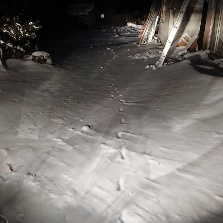 73703ecc 3cbe 4eee 918e 01b5f93f4f16 1580979709533