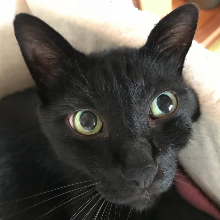 7370c760 6c3c 43d3 98c5 90ce481a0270 1533513501042