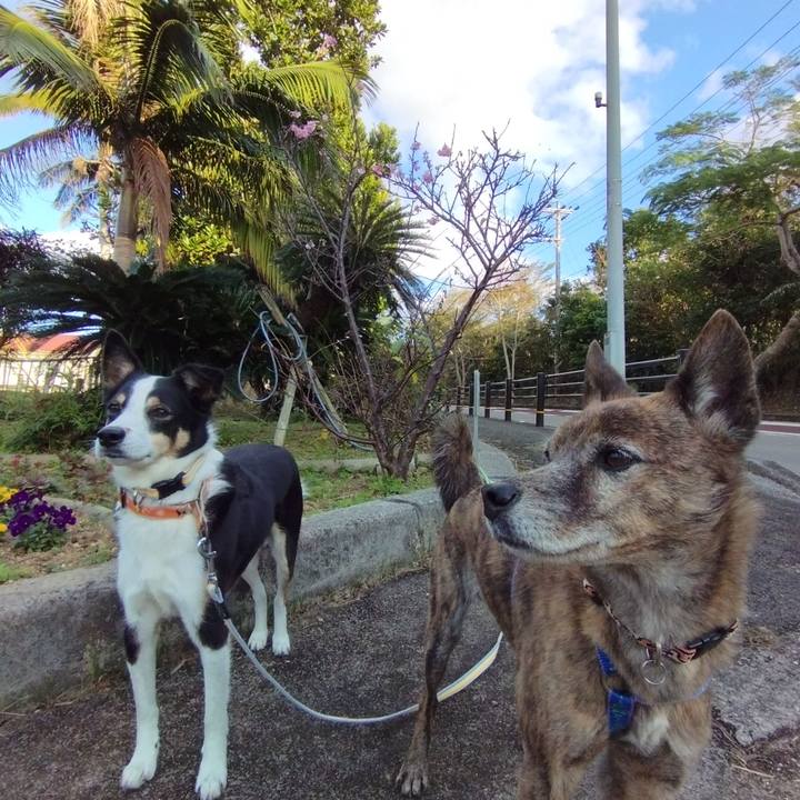 7370f412 85d1 4c00 846b c410a742ad4b 1739451254062