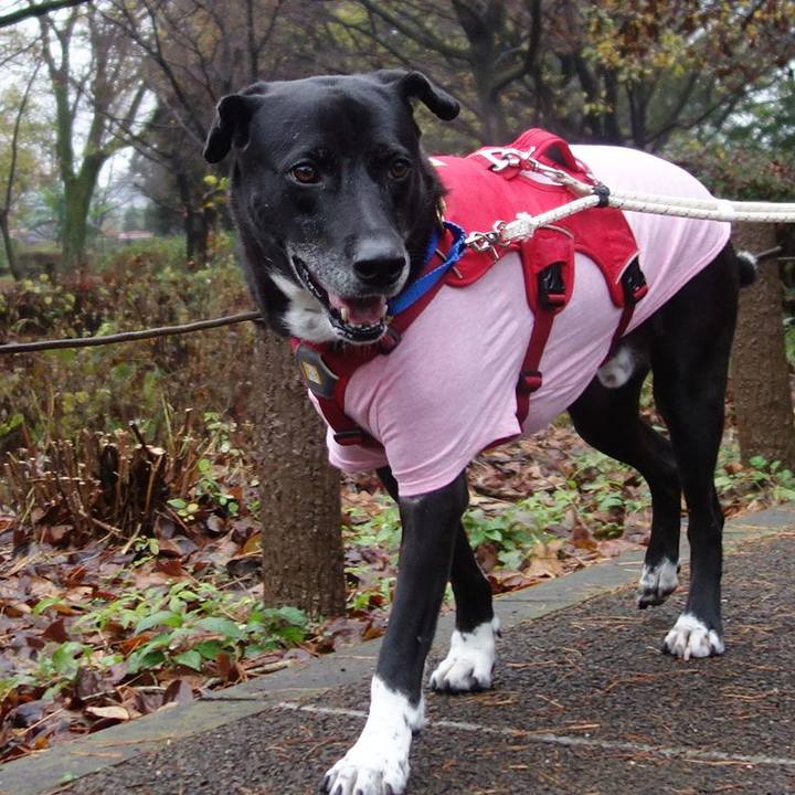 7370f8aa dc81 41e4 ba53 e366f68b8ef3 1670285609042