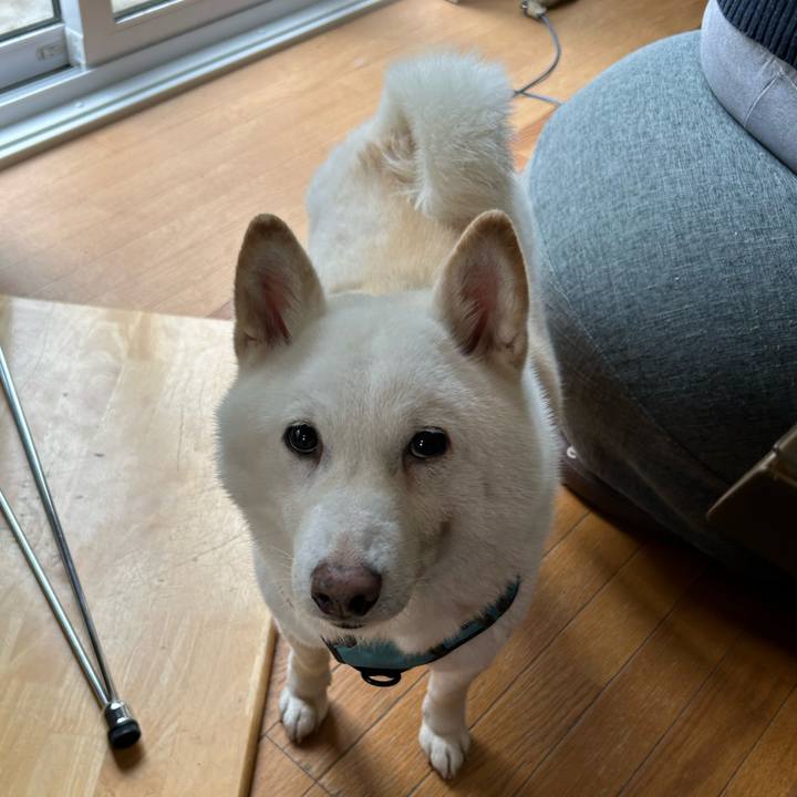 7370fe64 9109 4188 9c69 f7fe6674c52d 1731199492348