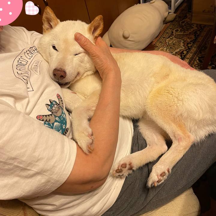 7371087e ea39 4710 bed8 c1a5fe8cb5bb 1657889041191