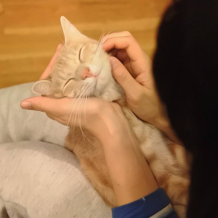 7371337b 0d5e 4c3c 91e7 07e7cd244e59 1576242614794