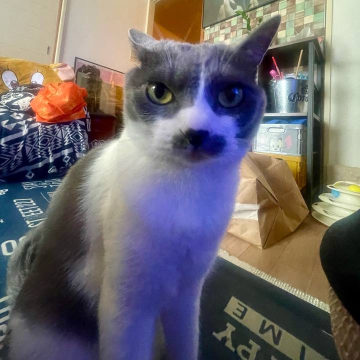 737158e9 2de0 4dbf 9a34 646962af225d 1718842983840