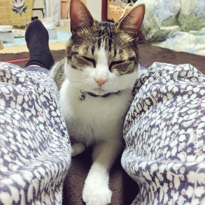 73715b04 c121 433f bdd3 40e5a6fb5067 1524183111323