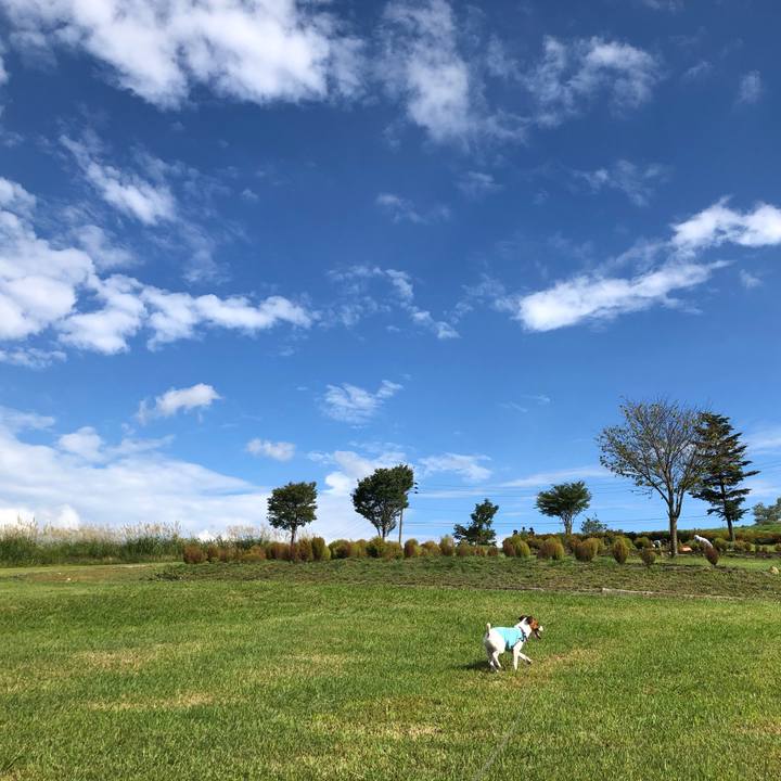 7371854b c748 484b ad22 049d8b92ed65 1600308593379