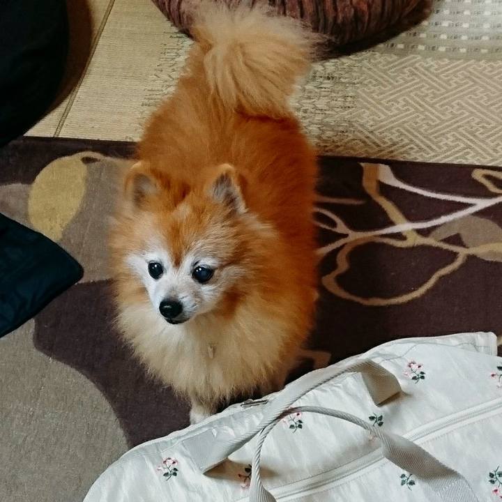 7371a1a7 5c83 484f 9b46 4a8f249fa16d 1573863166984