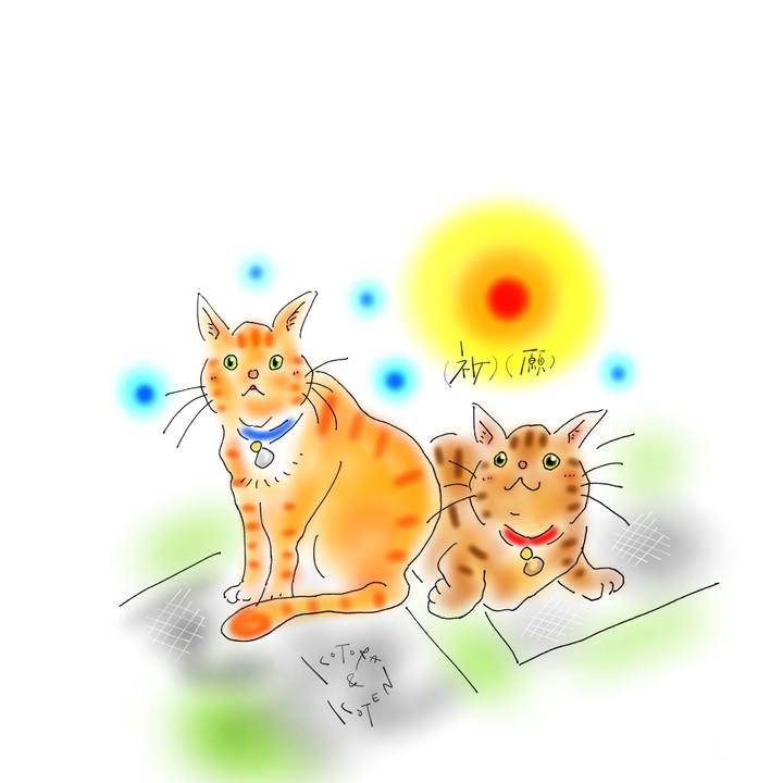 7371c5af 324e 4ee8 abcd cd0e967692c3 1647475309948