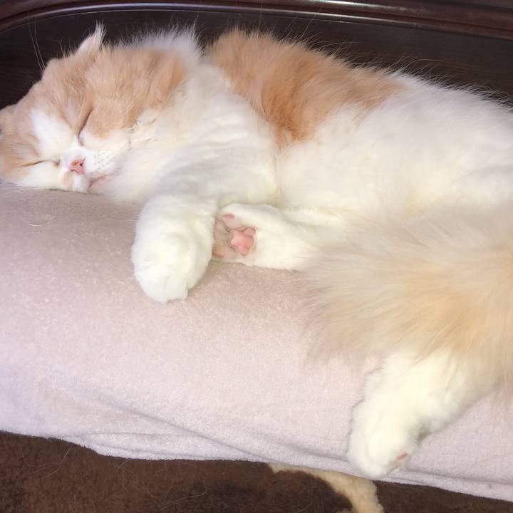 73720c00 95ec 4df9 a8ab eee691636416 1653820008486