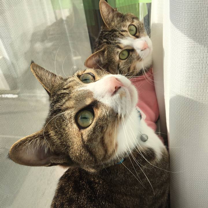 73722bae 635c 4893 b7af 1ebdafb4820d 1676090895790