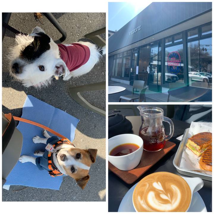 73723009 400e 4a0e aa2d 762e837ba388 1613879580670