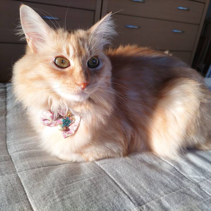 73726d29 27e4 4e05 be40 9d368266d1cd 1664855551621