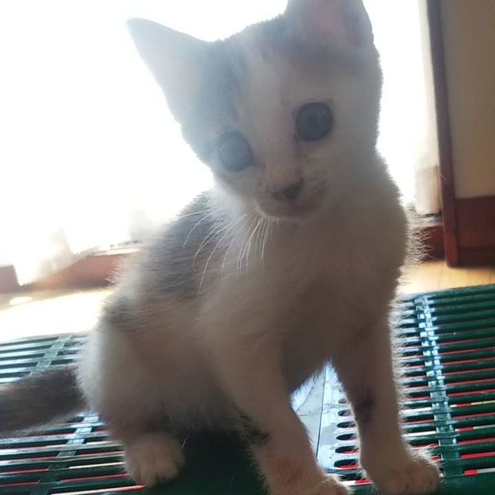 7372aa8d 31de 4f86 83f0 d8059082ada8 1633148408925