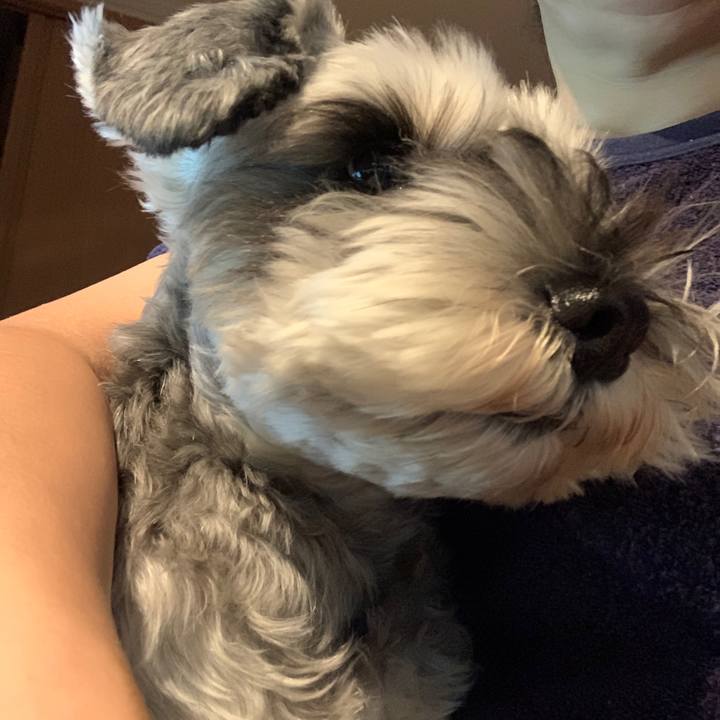 73730c8e 9c6f 47f5 ad18 10d2d811fb09 1605680157298