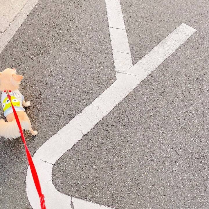 73738401 96cf 41c6 b383 49cb6dfc0a8c 1633435767431